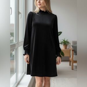Velvet Black Long Sleeve Dress